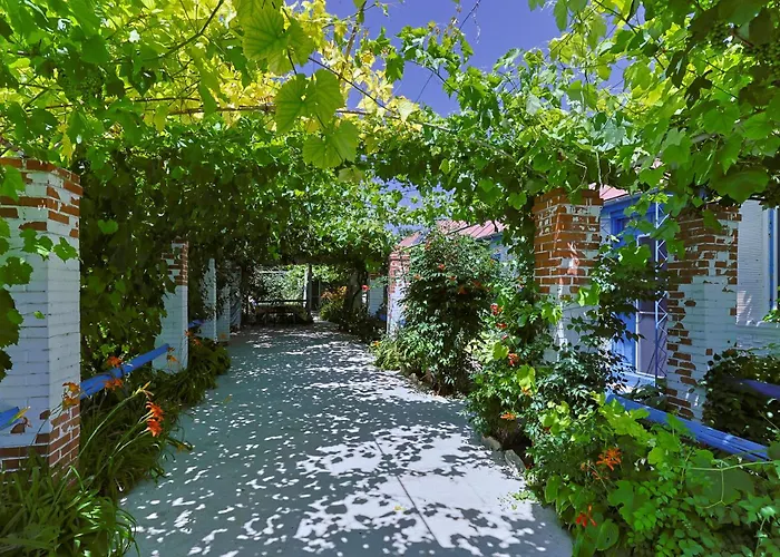 La Lipoveni * Jurilovca