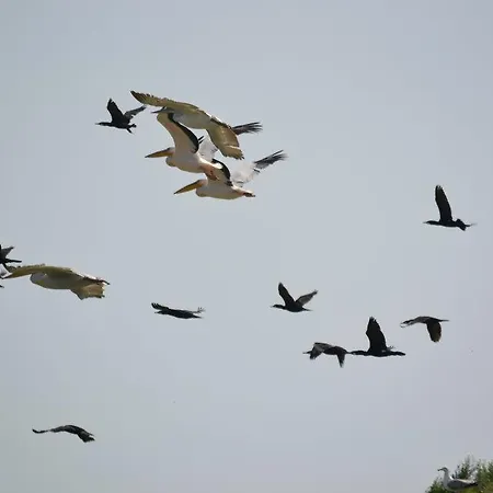 Affittacamere La Lipoveni